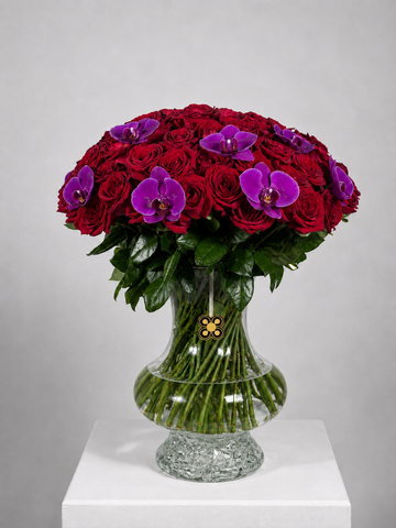 ROSAS1