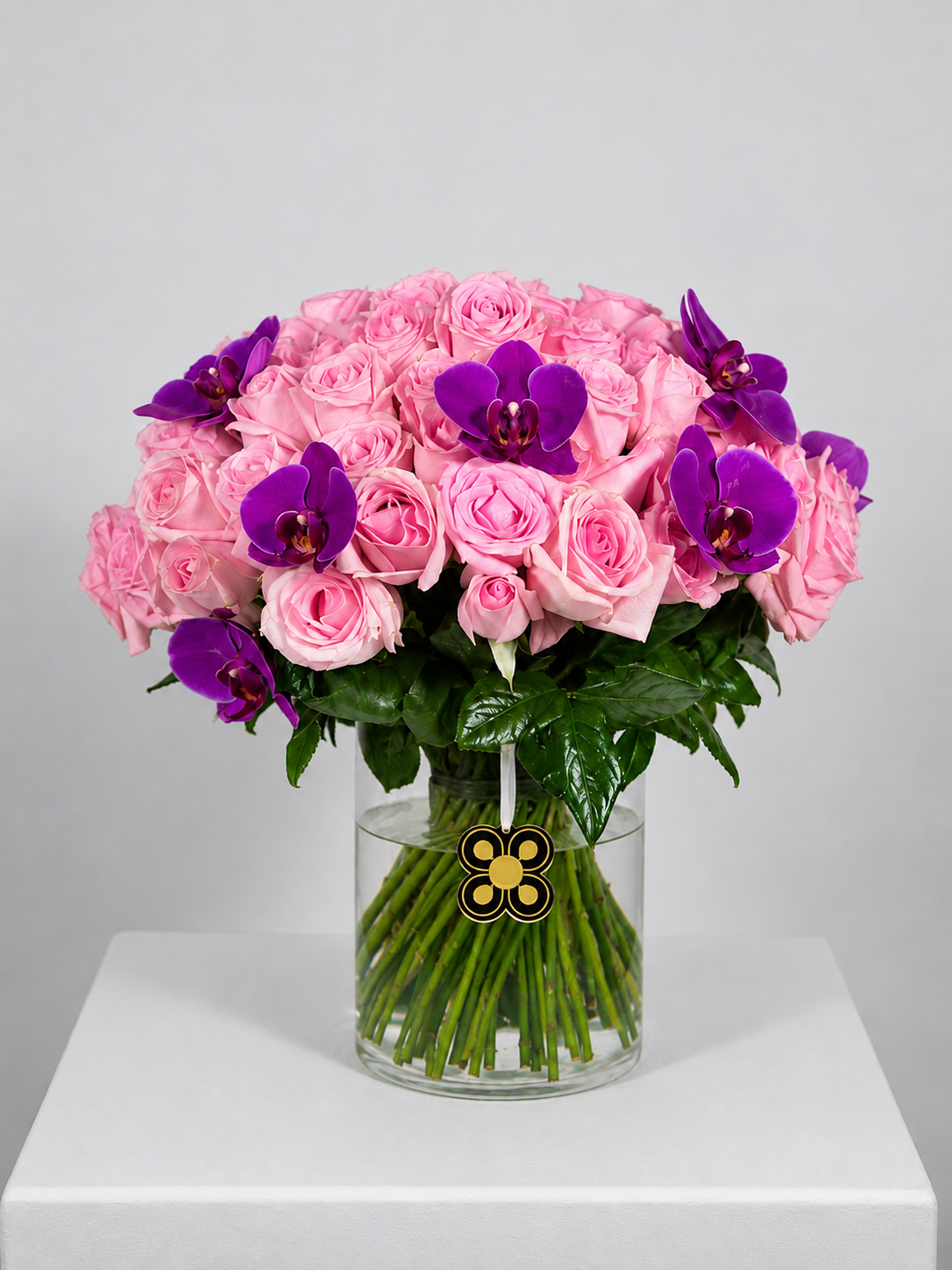 ROSAS2