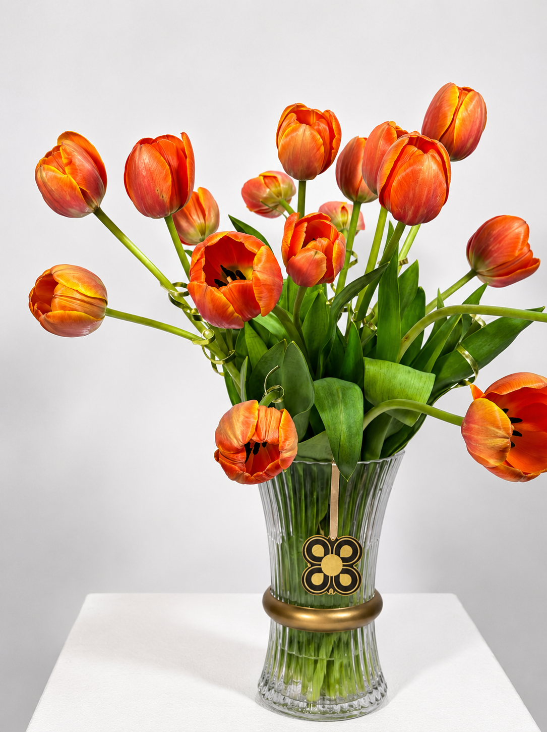 TULIPAN 2
