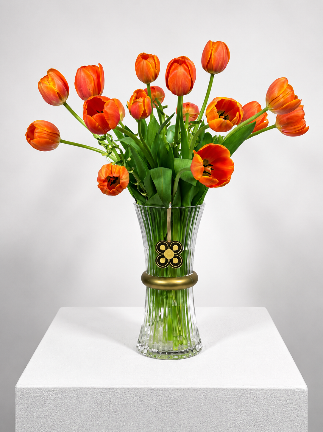 TULIPAN 2