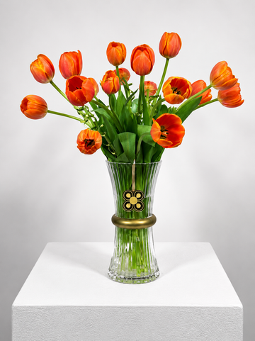TULIPAN 2