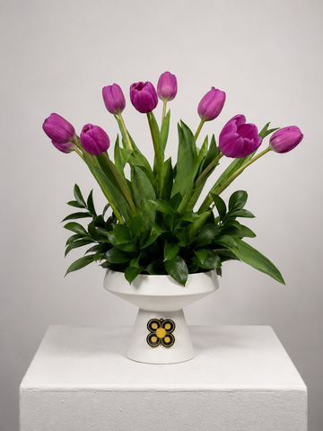 TULIPAN 1