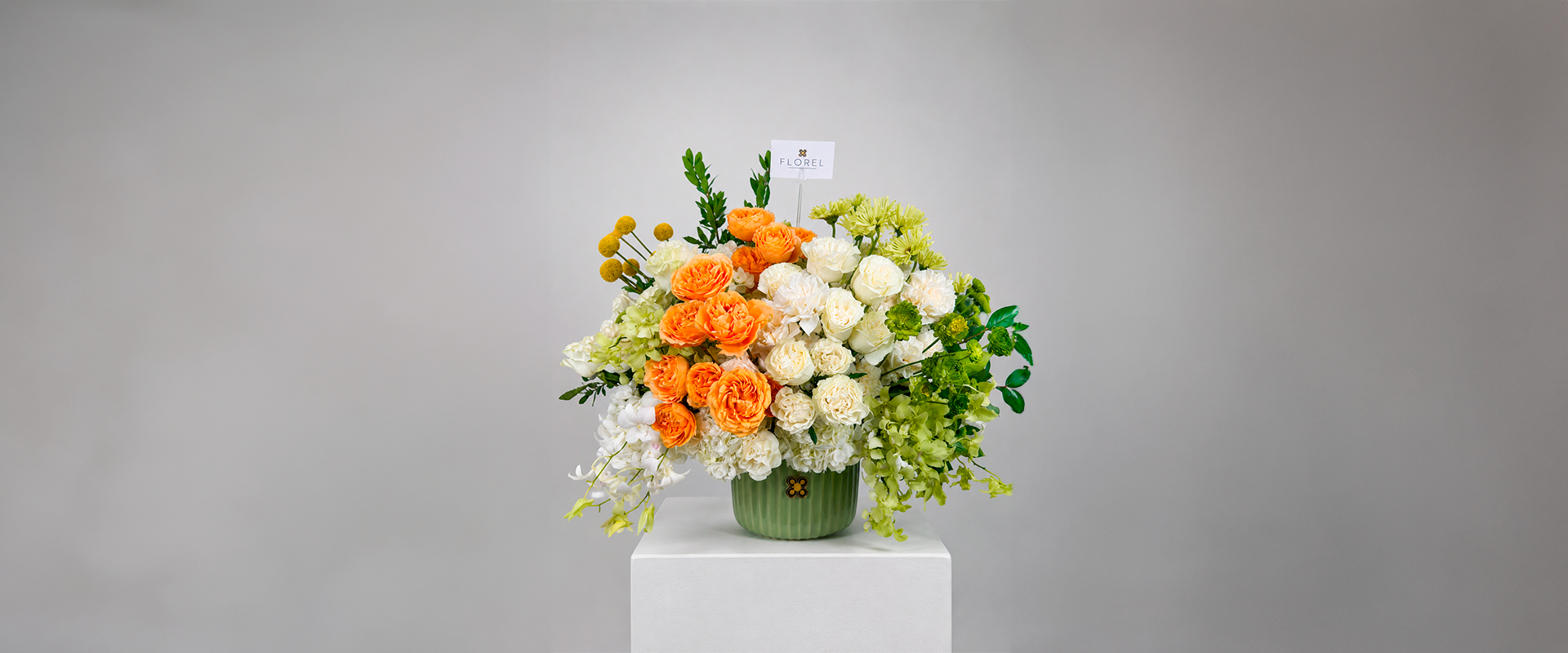 slider image slider_item_fNJC6F